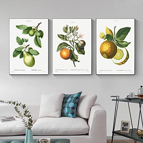 Affiche botanique d'art antique impression sur toile premium 60x90cm triptyque haut de gamme