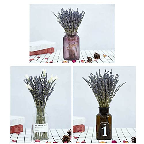 lavanda seca, Flores secas elegantes para vaso bonito, Grupo flores símbolo do amor faça você mesmo