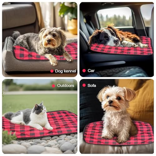 Tapis pour chien d'hiver haute performance thermique et lavable