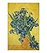 Qilo Van Gogh Jigsaw Puzzle Iris - Petróleo Famoso Cuadro 500/1000/1500/2000 Las Piezas del Rompecabezas for Adultos, Arte Home Decor Pared IQ El Desarrollo de Juguete (Size : 2000pieces)