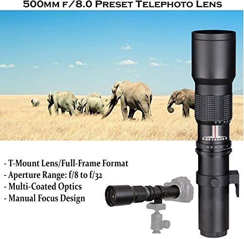 Cámara mirrorless Canon EOS R5 8K con lentes y accesorios miniatura 4