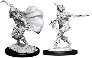 Pathfinder Deep Cuts Unpainted Miniatures: Wave 14: Human Rogue Female – Unpainted/Primed Pathfinder Miniature by WizKids - Tabletop RPG Games TTRPG