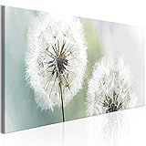 murando - Wandbilder XXL Pusteblume 150x50 cm 1 tlg Wand 