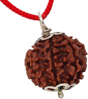 sukhalaya Nepali Rudraksha Mantra Siddha Rudraksh Pendant Certified-picture-31
