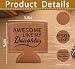 Fathers Day Birthday Gifts For Dad Father From Wife Daughter Son, Awesome Like My Daughter Beer Can Coozie, Cans Holder Present For Husband, Cozy Bottle Sleeve Accessories, A29