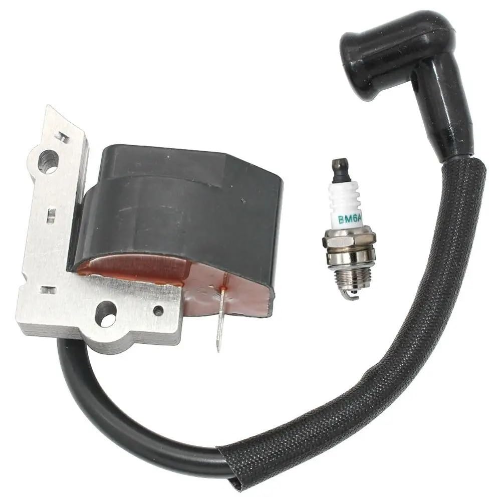 Compatible con determinados Modelos, incluidos XT125K X T125T WT3100 BC30B 176 196 PP111 Equipo de energía Exterior