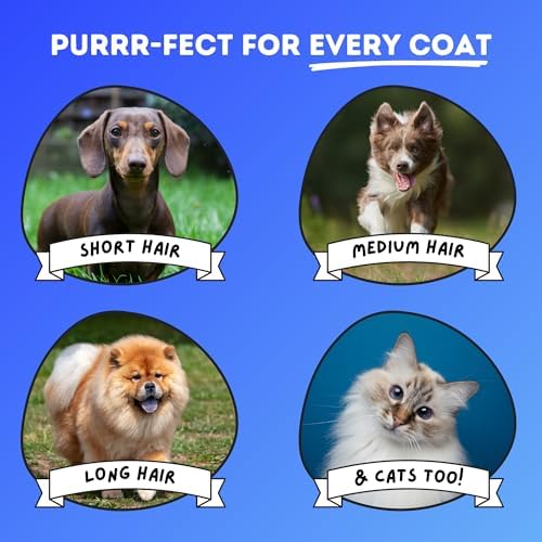 DakPets Stainless Steel Pet Deshedding Tool — alternate color or size variant on Amazon