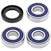All Balls Racing Rear Wheel Bearing Kit 25-1377 Compatible With/Replacement For Yamaha BW350 1987-1988, DT 360 1973-1974, RT 360 1970-1973, SR400 2015-2017