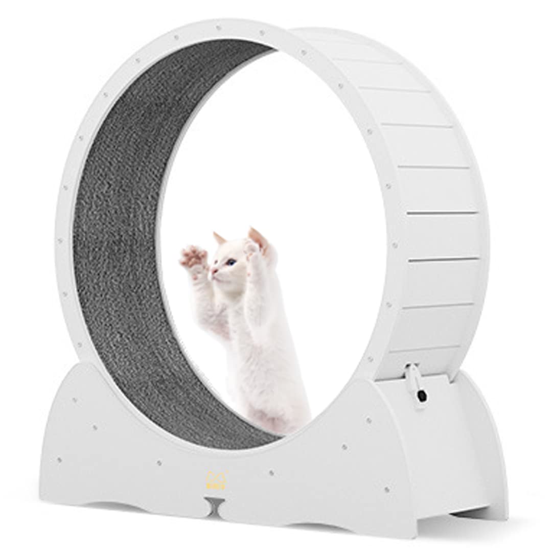 Roue pour chat sans installation en TPE haute performance