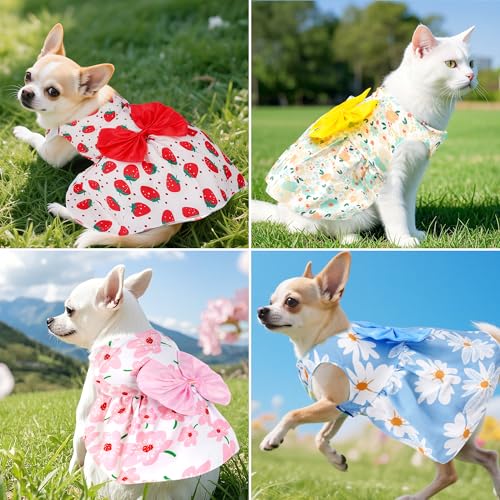 #1 Best Choyaxo 4Pcs Dog - Premium Pet Apparel Set - Image 6