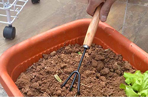 GION 3 Piece Gardening Tool Set Mini Wood Handle Cultivator, Gardening Scissors, Garden Forks, Gardening Tool Set, Garden Tools (Set of 3)
