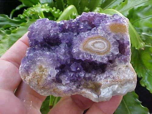 B3802 Gemqz Amethyst Stalactite LOG Polished Face !!!
