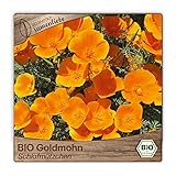 Samentüte mit Mohnblumensamen - lat.Name: eschscholzia californica - und reicht für ca. 150 Pflanzen für die Aussaat im Gewächshaus, Hochbeet oder Blumentopf