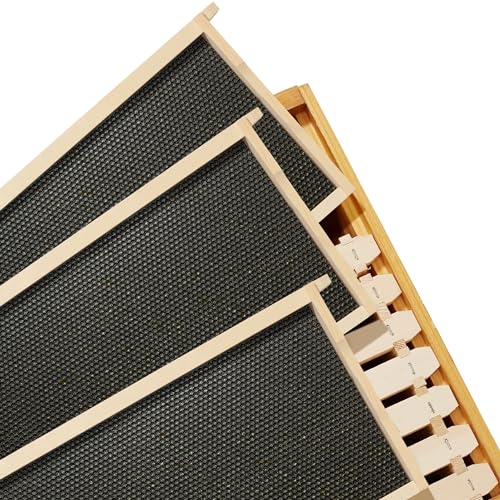 Honey Keeper Deep Brood Box with Window, 100% Beeswax Coated Beehive Kit with 10 Wooden Frames and Waxed Foundations for Langstroth Beekeeping