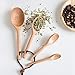 Pack of 4 Measuring Spoons Wood Beech Measuring Spoons Cups Baking Utensil Set Kitchen Tools (Beech)