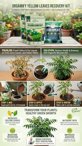 Image of Yellow Leaves Recovery Kit for Plants | Fix Dry & Yellow Leaves for Curry Leaves (Kadipatta), Tulsi & Indoor Plants | Neem Vermicompost (2KG) + Cocopeat (1KG) for Healthy Green Leaves