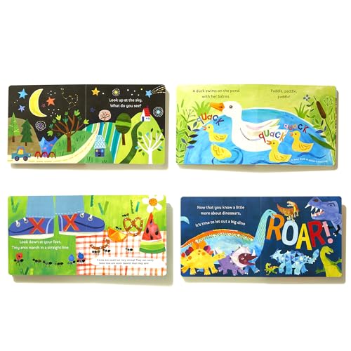 Hello, World! Boxed Set: Solar System; Dinosaurs; Backyard Birds; Bugs