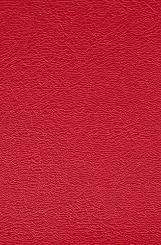 DIY Seat Skins - Replacement Seat Skin for Kawasaki - 2006-2008 STX 12F, 2006-2017 STX 15F - Red