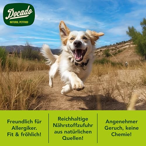 Docado Natural Petfood - Deluxe Mini Hundekekse Pute & Honig, Getreidefrei, Proteinreich, Omega-3, Hochwertig | Hundesnack Leckerli 125g