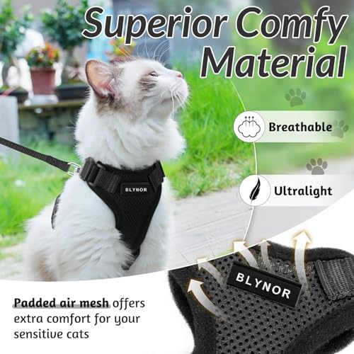 Image of No Pull Cat Harness and Leash Set for Walking - Escape Proof, Soft Air Mesh, Adjustable Vest Harness for Kittens, Cats, Puppy - Lightweight & Comfortable (Black, XS)