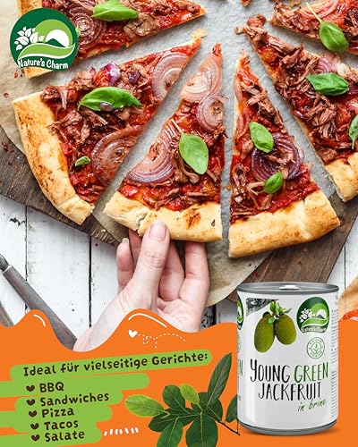 Nature’s Charm Jackfrucht in Lake I Salzig eingelegte, junge grüne Jackfruit I Ideal als pflanzlicher Fleischersatz für vegane Bowls, Sandwiches und Pfannengerichte I 1 x 565 g