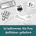 kleb-Drauf | Pfote mit Name | Verschiedene Größen und Farben | Autoaufkleber Autosticker Decal Aufkleber Sticker | Auto Car Motorrad Fahrrad Roller Bike | Deko Tuning Stickerbomb Styling Wrapping