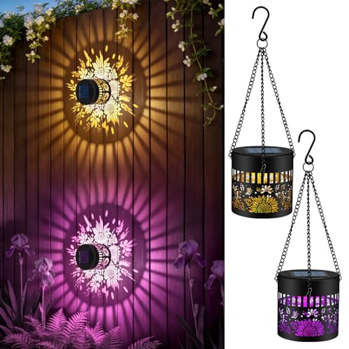 Lanterne solaire extérieur étanche RVB FLSEPAMB lampe de jardin suspendue et murale lot de 2