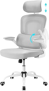 Farini Ergonomischer Stuhl Büro Computer Stuhl mit Rollen Schreibtisch für Bequemer Home Office Höhenverstellbar Chefsessel Bürostuhl mit Kopfstütze, Grauweiß