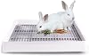 Super Large Rabbit Toilet with Grate Extra Large Rabbit Toilet