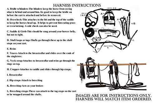 Equitem Two Tone Brown Leather Small Mini Sh Pony Driving Show Training Cart Harness with Tan Trim - Thumbnail 2