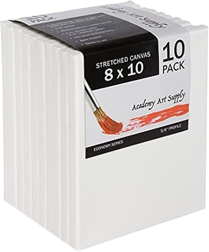 8 x 10 Inch Stretched Canvas Value Pack of 10