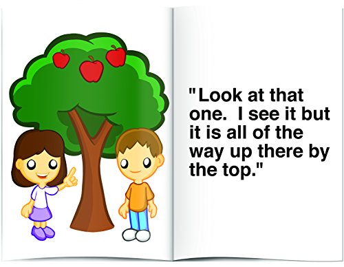 Meet The Sight Words - Level 3 - Easy Reader Books (Boxed Set of 12 Books)