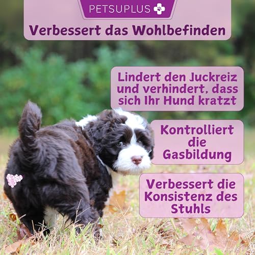PETSUPLUS Probiotika Hund, 120 Kautabletten, Dogs Hunde Nahrungsergänzungsmittel mit Flohsamenschalen, Repariert die Darmflora & schützt das Immunsystem, Kur Gegen Durchfall Erbrechen und Sodbrennen