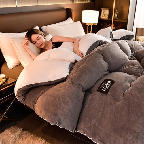 SAYEYBU Couette en Agneau Super Chaude, Couverture d'hiver en Polaire Double Face, éPaisse en Peluche Chaude, Duvet de Couleur Unie, Lavable en Machine, B,220x240cm(5kg)