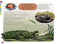 L'imagerie - Pourquoi ? 2215176288 Book Cover