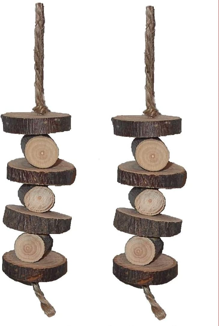 Organic Stacked Apple Chew Toy for Small Animals - Dual Pack