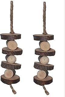 Organic Stacked Apple Chew Toy for Small Animals - Dual Pack