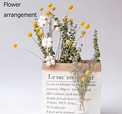 Tooget Natural Craspedia Dried Flowers Yellow Billy Buttons Balls Bouquet Bundles, Real Freshly Harvested Dry Plant Bunch Arrangements Decorate For Home Crafts, Party, Wedding, Store #TOP5