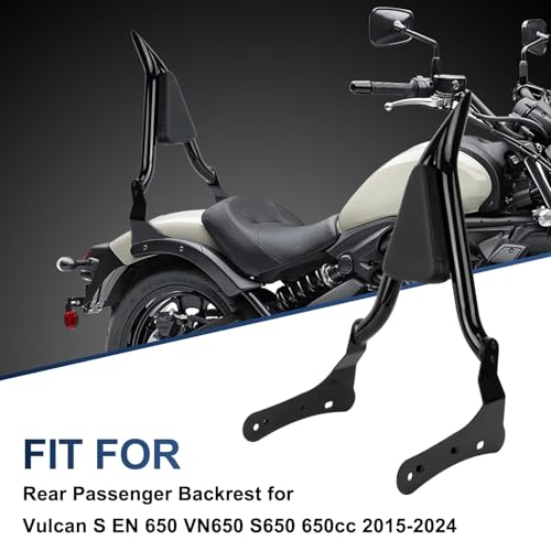 PSLER Detachable Passenger Sissy Bar