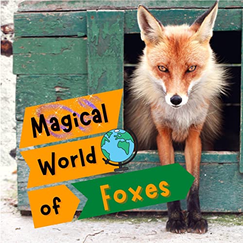 Magical World of Foxes by Lucas Bowser episode artwork