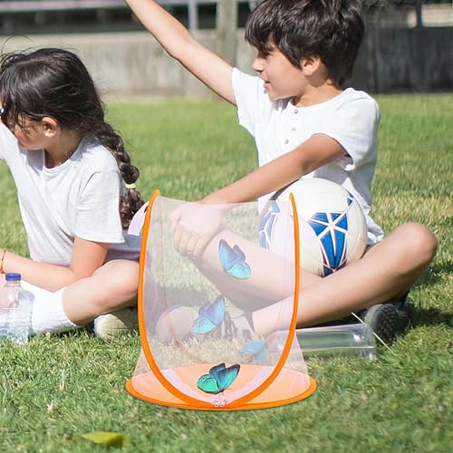 Maison pliable élevage papillons pour observer la biodiversité