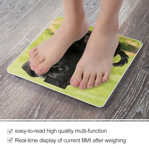 Báscula digital de baño de vidrio templado con LED miniatura 5