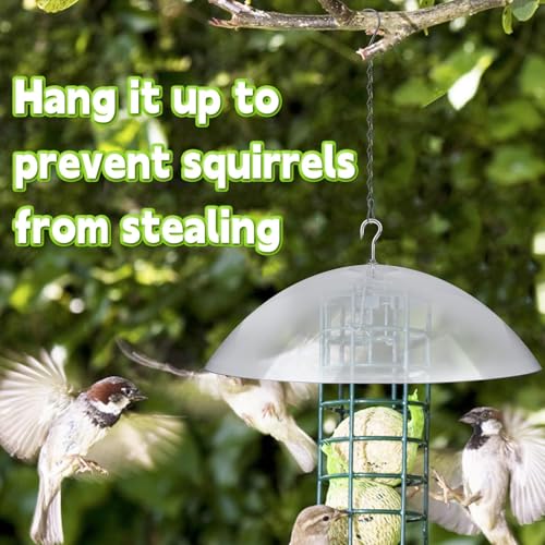Cubierta protectora transparente para comederos de pájaros en jardines y terrazas 5