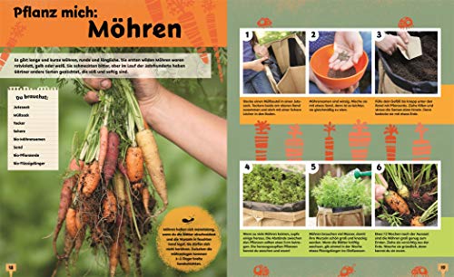 Auf ins Beet!: 30 wilde Gartenideen für Radieschenräuber und Bienenretter. Ein Bio-Gartenbuch für Kinder mit einem Vorwort von Ackerhelden machen Schule - 3