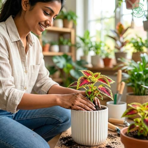 Image of Yo Green Modern Ribbed Ceramic Planter Pot | White Matte Indoor Plant Pot for Home, Office & Living Room Decor (Modern Ribbed-4 Inch-Yellow)