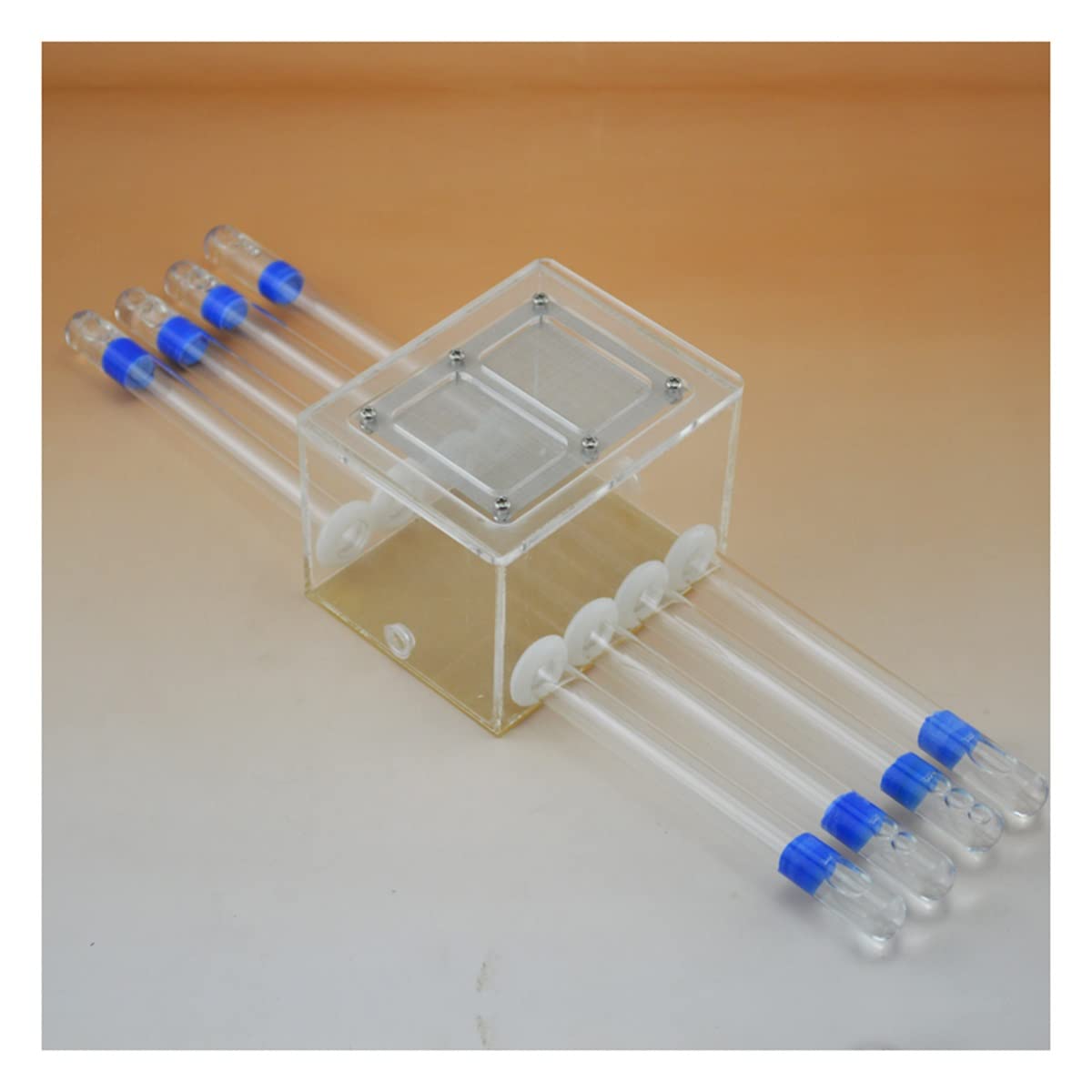Kxcr White Acrylic 8 Test Tube Ant Nest Test Tube Ants Farm House Ant House Castle Pet Anthill Workshop Formicarium Villa Ants Habitat (Size : B)