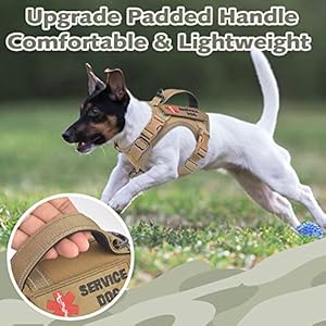Tactical-Dog-Harness-for-Small-Dog-No-Pull-Military-Service-Dog-Vest-with-Vertical-Handle-Reflective-Puppy-Vest-Harness-for-Outdoor-Training-Khaki-XS - Cucciolini Doodles   Tactical-Dog-Harness-for-Small-Dog-No-Pull-Military-Service-Dog-Vest-with-Vertical-Handle-Reflective-Puppy-Vest-Harness-for-Outdoor-Training-Khaki-XS