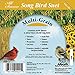 Heath Outdoor Products birds DD-21 Multi Grain Suet Cake, Case Of 16
