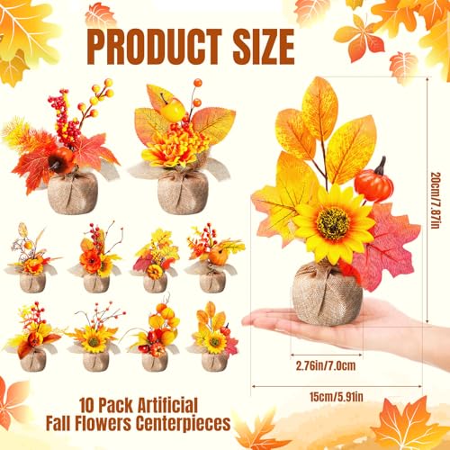 Décoration d'automne rustique pour table de Thanksgiving Giegxin - 3