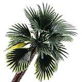 Zoom IMG-1 hsthe sea 30 pezzi alberi Zoom IMG-1 hsthe sea 30 pezzi alberi